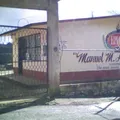 Manuel Manuel Altamirano