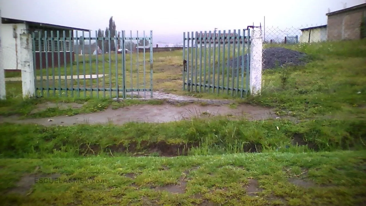 Hermenegildo Galeana Entrada