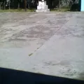 Pipila