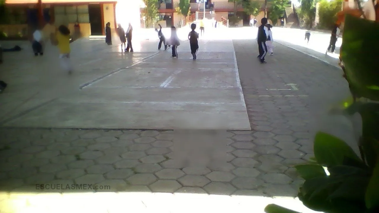 Año Internacional del Niño Entrada