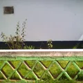 Centro Federal Campesino