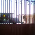 Mtro. Raul Isidro Burgos
