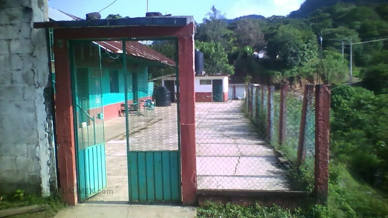 5 de Mayo Entrada