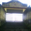 Profesor  Rafael Molina Betancourt