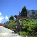 Cuauhtemoc