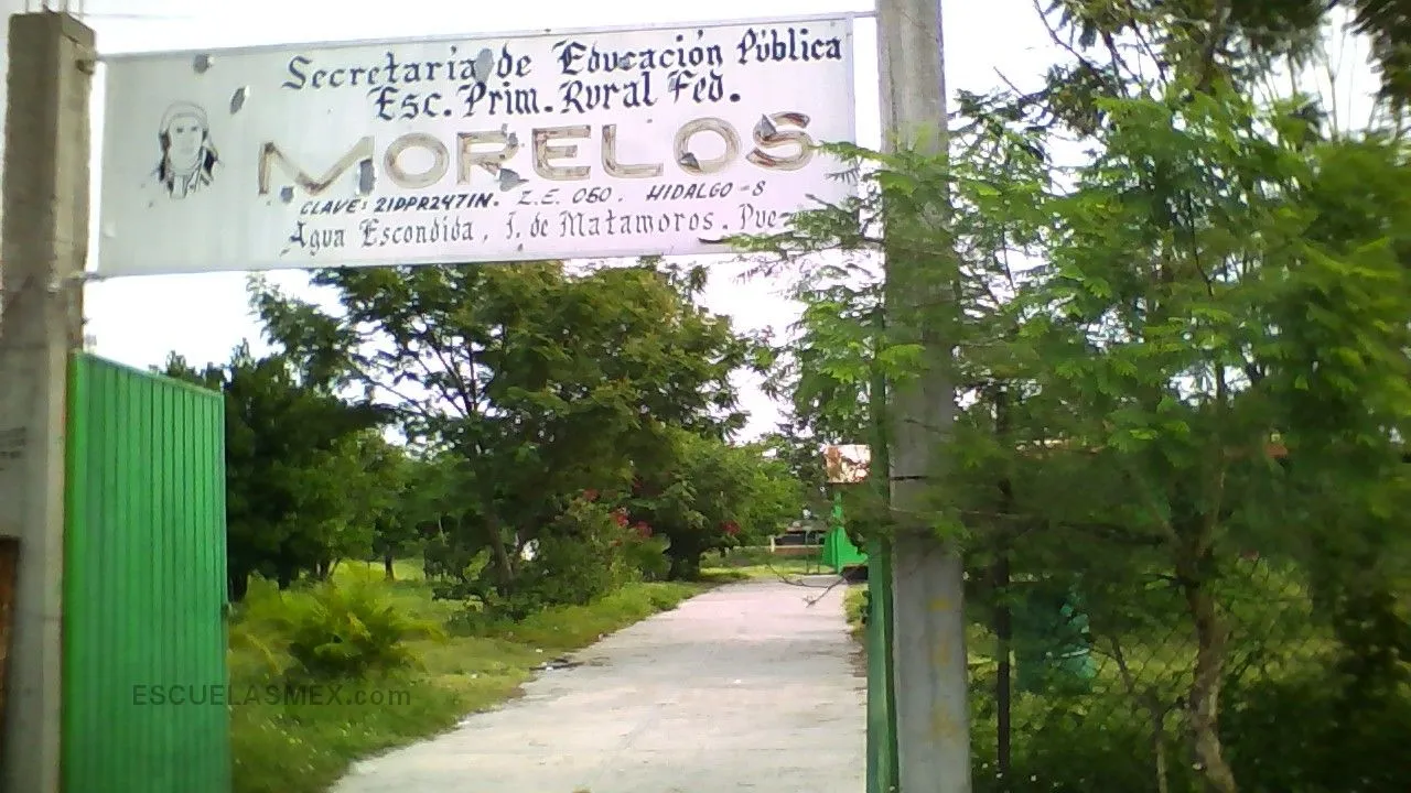 Morelos Entrada