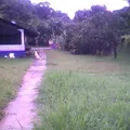 Ricardo Flores Magon