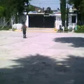 Ricardo Flores Magon
