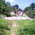 Jose Vasconcelos