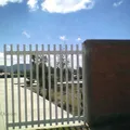 Secundaria Tecnica Num. 128
