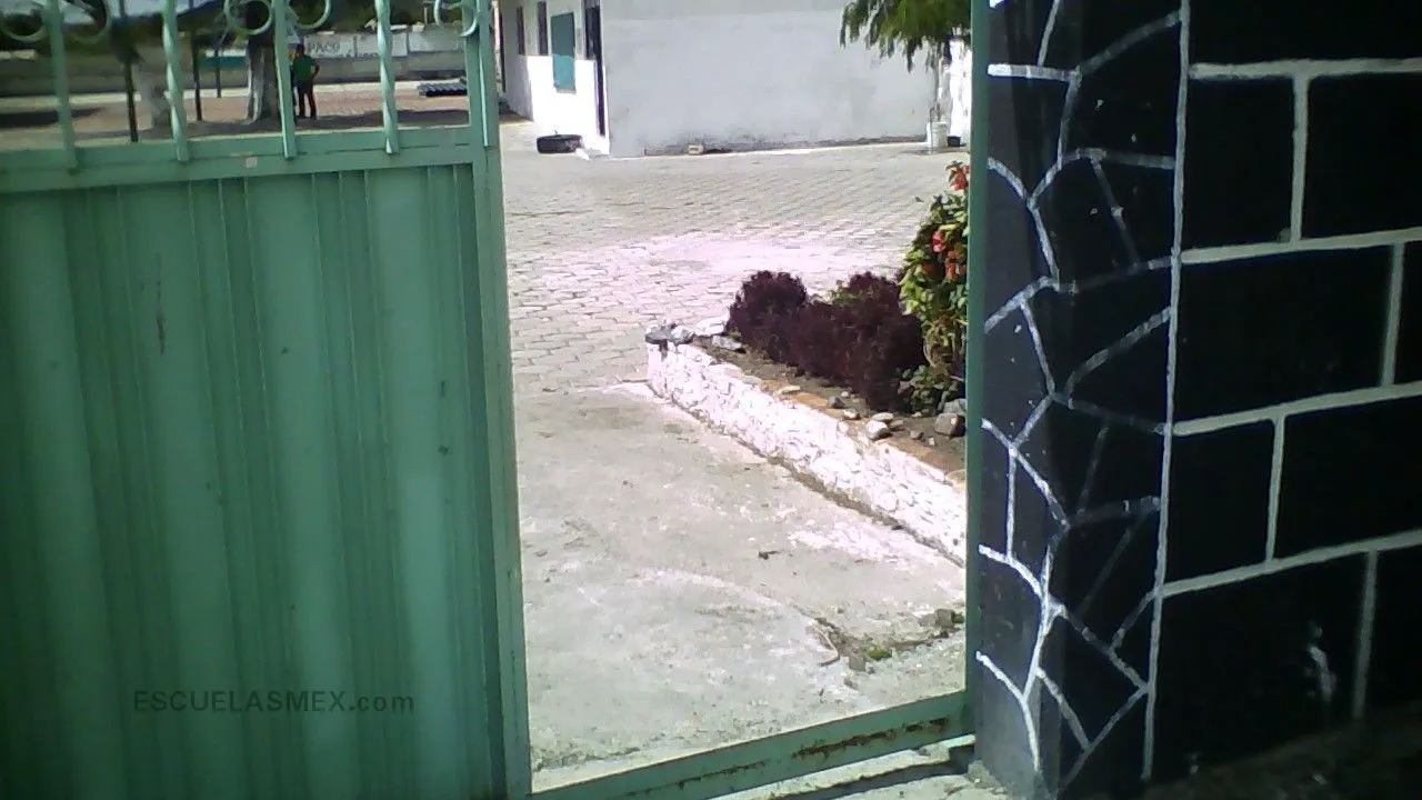 Secundaria Tecnica Num. 133 Entrada