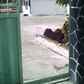 Secundaria Tecnica Num. 133