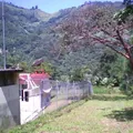 Vicente Suarez