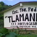 Tlamanic