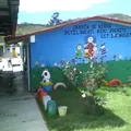 Octil Ancatl Miac Xochitl