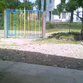 Profesor  Honorato Tlaseca Barrera