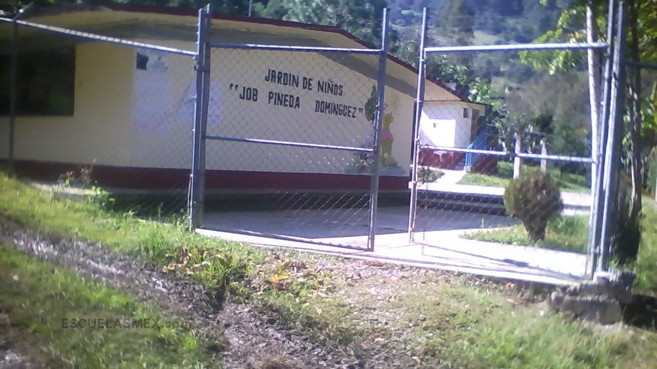 Job Pineda Dominguez Entrada