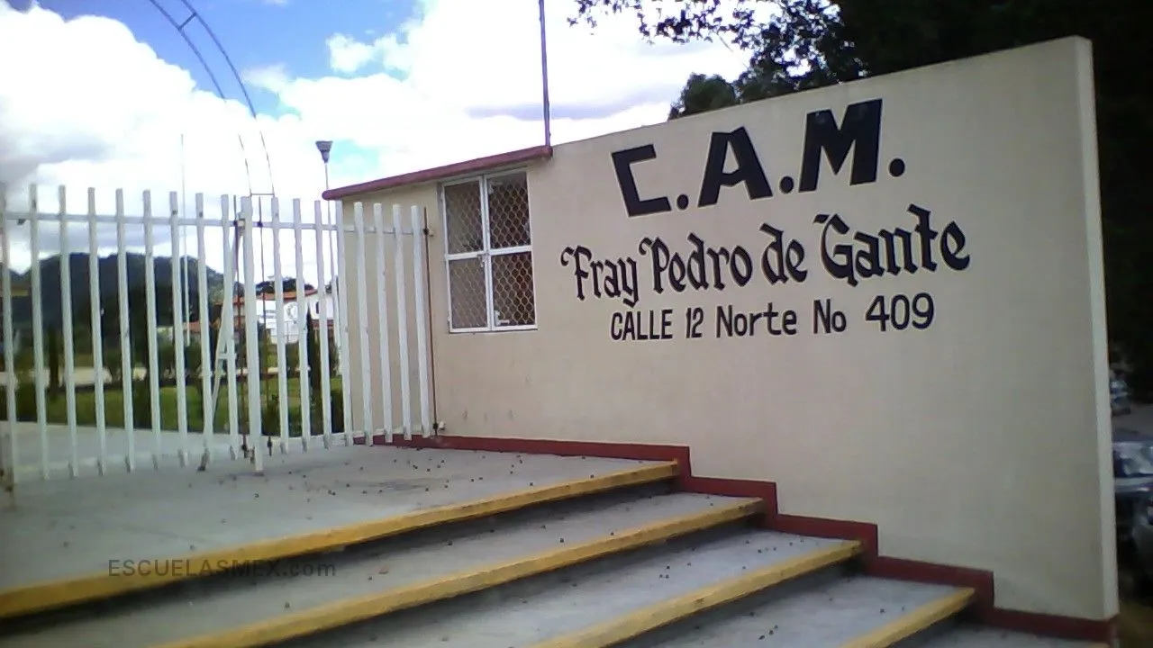 Fray Pedro de Gante Entrada