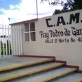 Fray Pedro de Gante