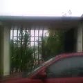 Jose Maria Morelos