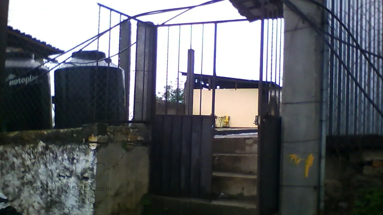 Valentin Gomez Farias Entrada