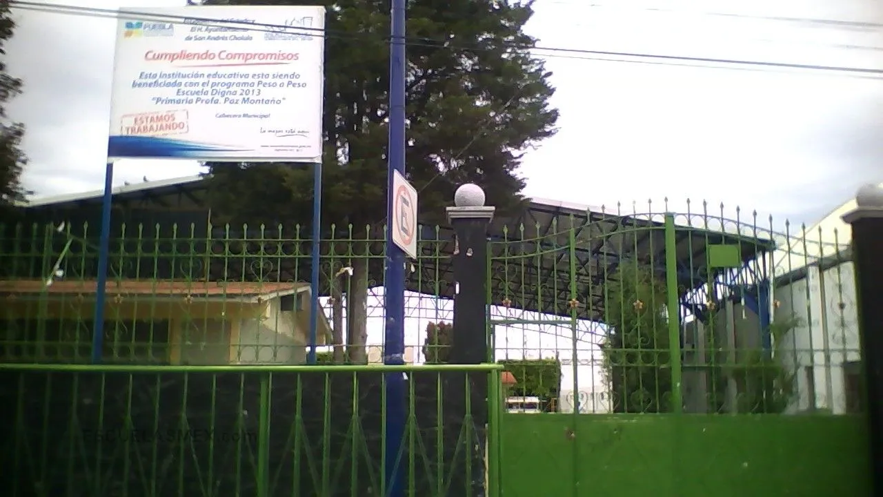 Profesora Paz Montaño Entrada
