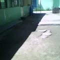 Honorato Tlaseca Barrera
