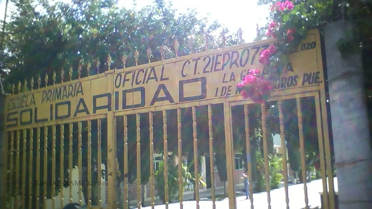 Solidaridad Entrada