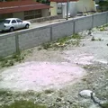 Jose Vasconcelos