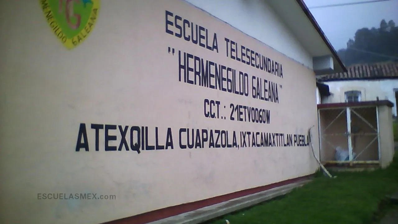 Hermenegildo Galeana Entrada