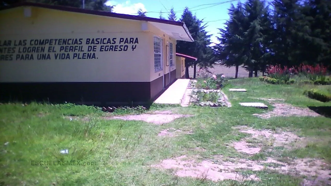 Ernesto Rutherford Entrada