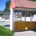 Carlos A Carrillo