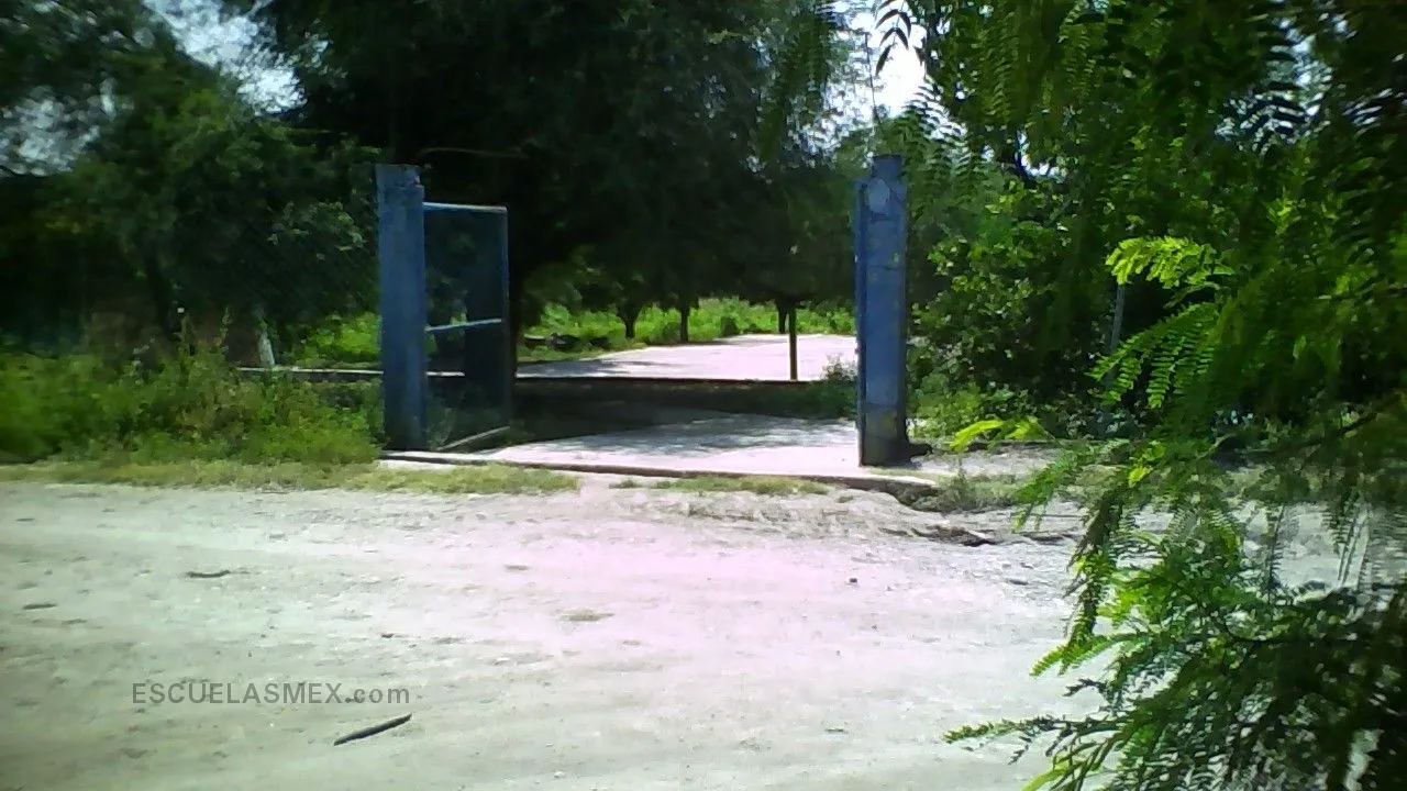 Daniel Cosio Entrada