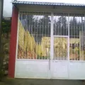 Maximino Avila Camacho