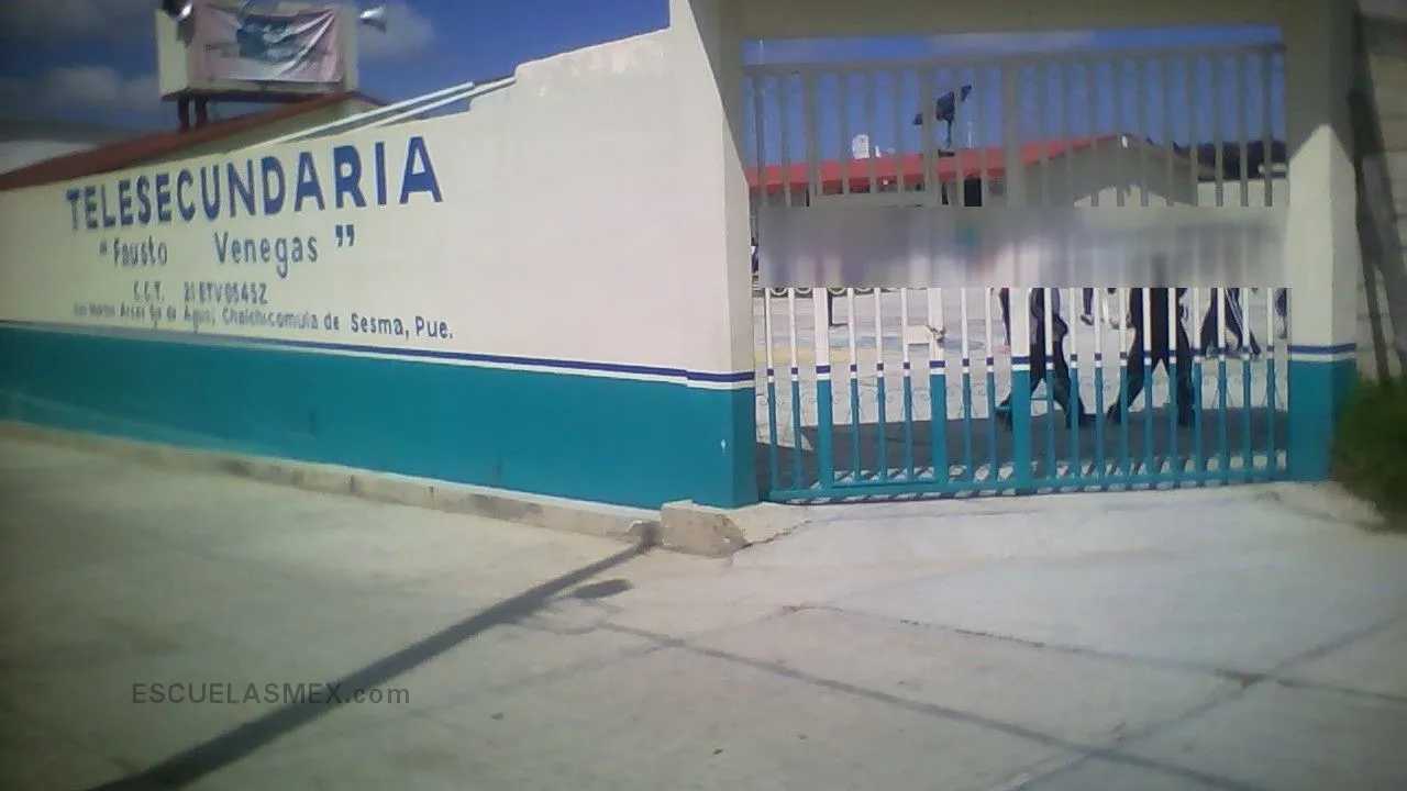 Fausto Venegas Entrada