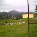 Porfirio Parra