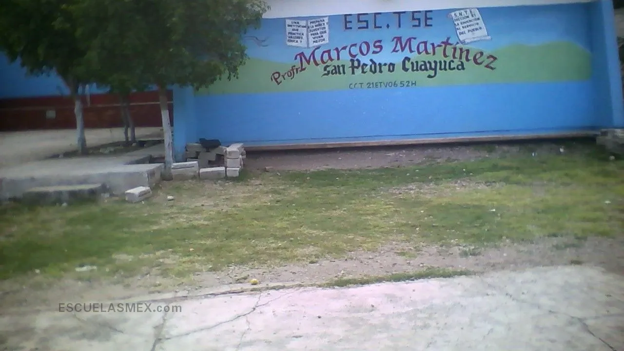 Profesor  Marcos Martinez Entrada