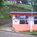 Katusunin