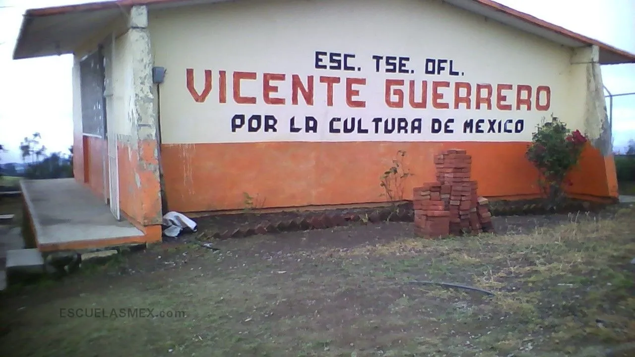 Vicente Guerrero Entrada