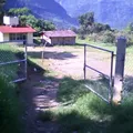 Jose Vasconcelos