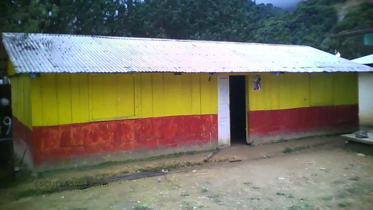 Preescolar Comunitario Indigena Campo Nuevo Entrada