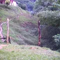 Preescolar Comunitario Indigena Tlaquechpa el Mirador
