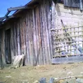 Preescolar Comunitario Indigena Cuatotolapan (san Jose)