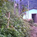 Preescolar Comuniario Indigena Papalocuautla