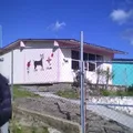 Preescolar Comunitario Rural Cuatro Caminos