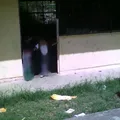 Preescolar Comunitario Malacahuacan