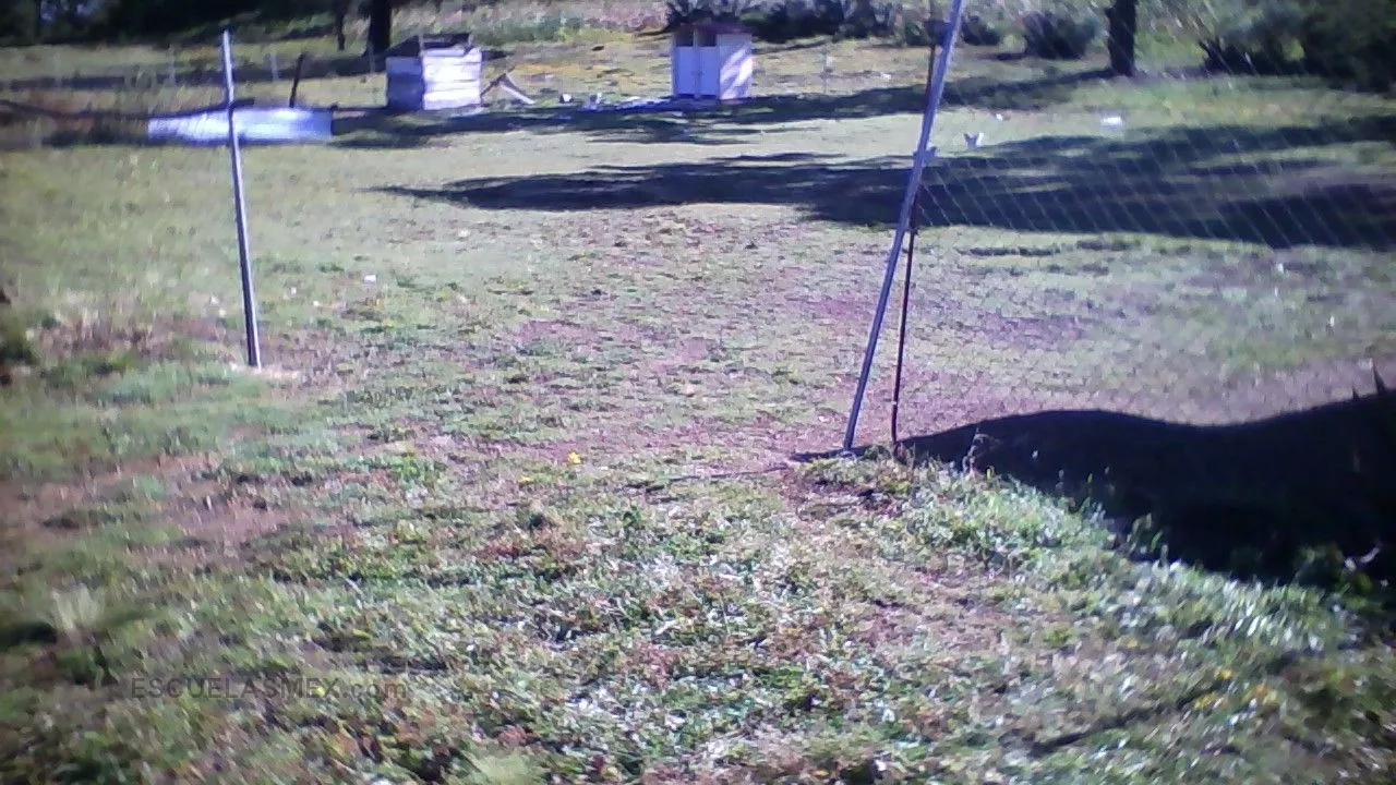 Preescolar Comunitario Rural Cañada Cozcoyucan Entrada