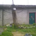 Preescolar Comunitario Rural Zacatecochco