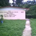 Curso Comunitario Indigena -tiburcio Juarez