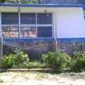 Primaria Comunitaria Indigena Tres Ocotes